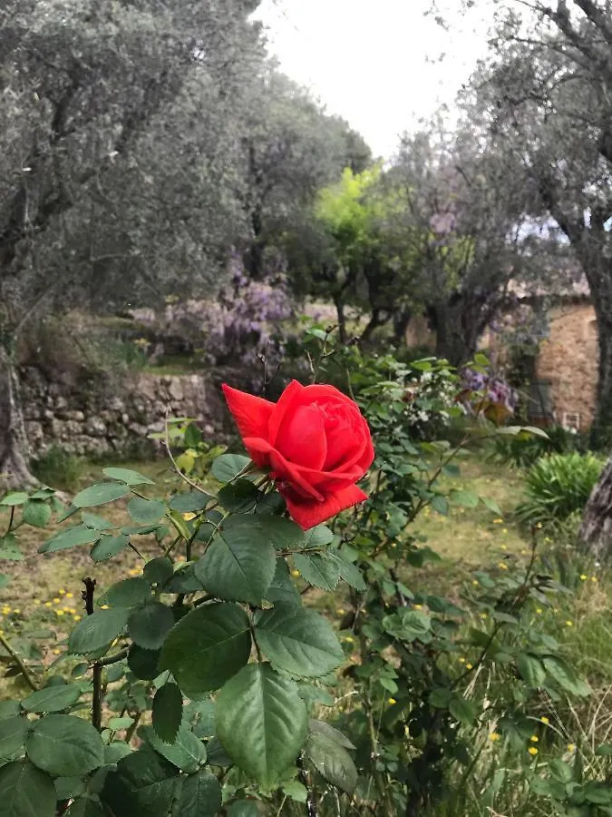 Mas 18Eme Oliveraie Grasse Hébergement de vacances