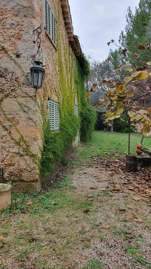 Hébergement de vacances Mas 18Eme Oliveraie Grasse