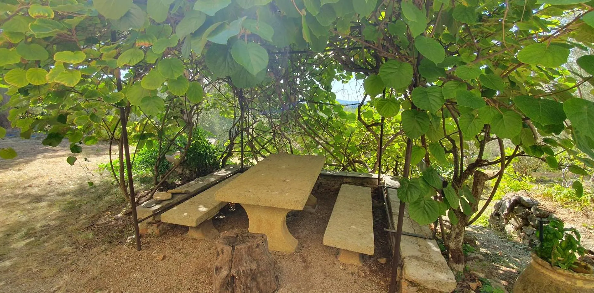 Hébergement de vacances Mas 18Eme Oliveraie Grasse France